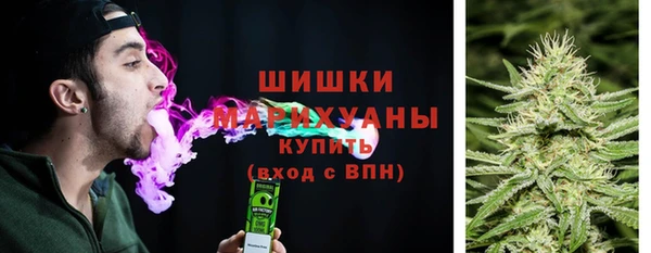 индика Балабаново