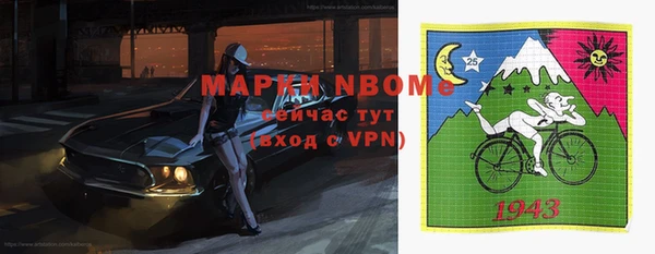 индика Балабаново
