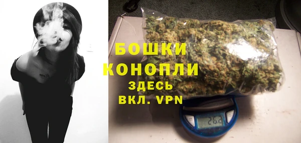 индика Балабаново
