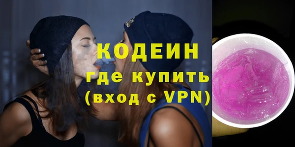 индика Балабаново