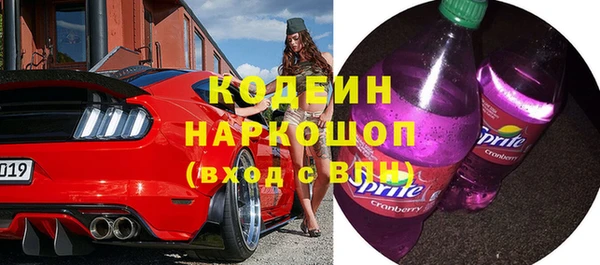 индика Балабаново