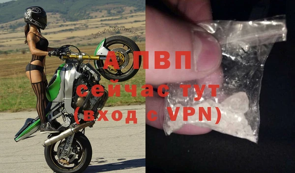 индика Балабаново